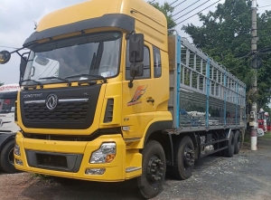 Mẫu Xe Tải Đời Xe  2022 và 2024