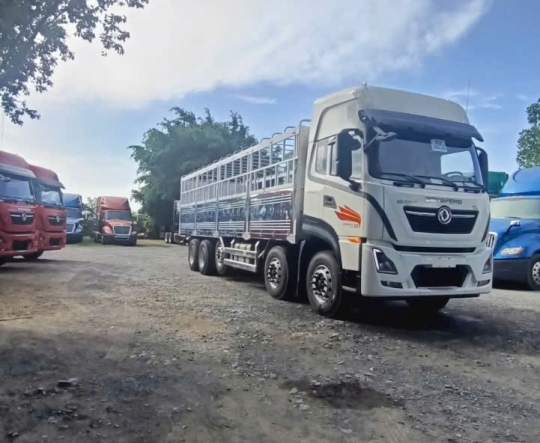 Xe Tải Đời Xe 2022 - 2024